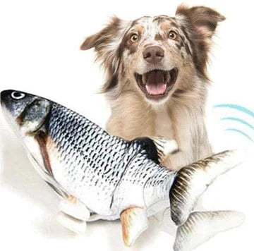 Interaktiver Fisch Spielzeug für Hunde