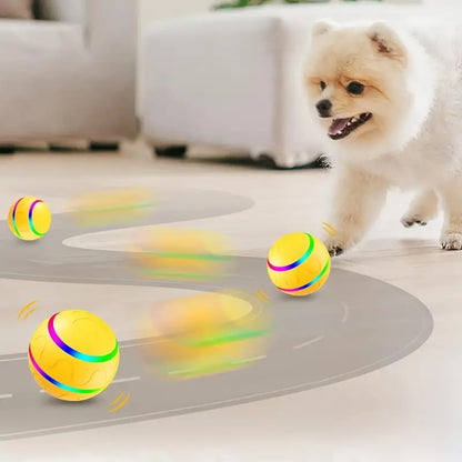 Interaktiver Rollball für Haustiere