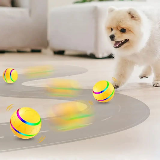 Interaktiver Rollball für Haustiere