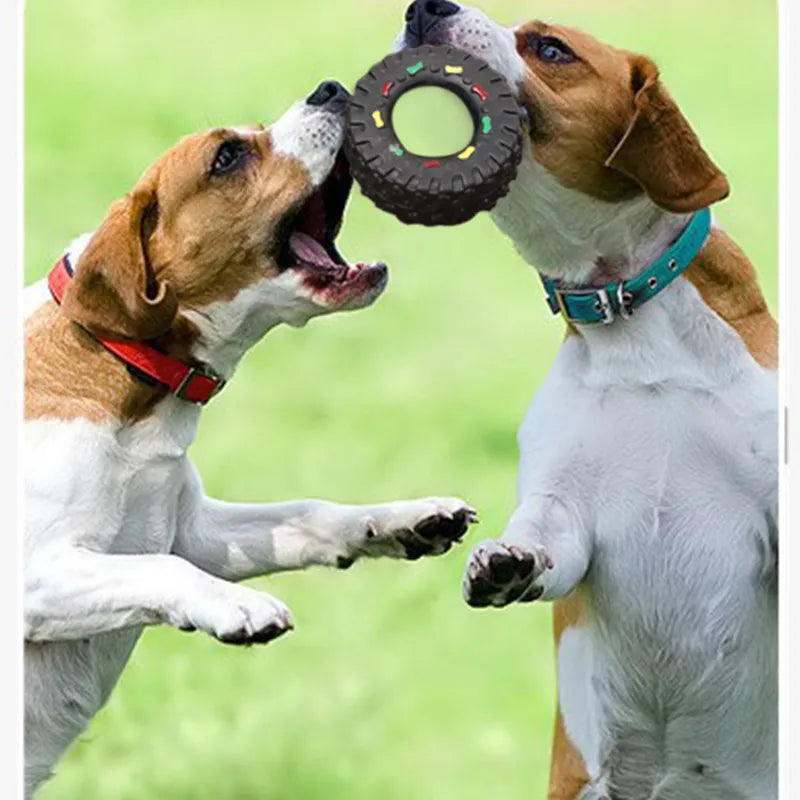 Robustes Hundespielzeug In Reifenform mit Kaustruktur und Bunten Details