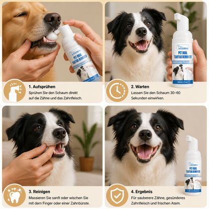 Zahnreinigungsschaum für Hunde – Für sauberere Zähne & frischen Atem