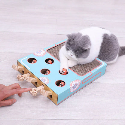 Multifunktionale Spielbox für Katzen