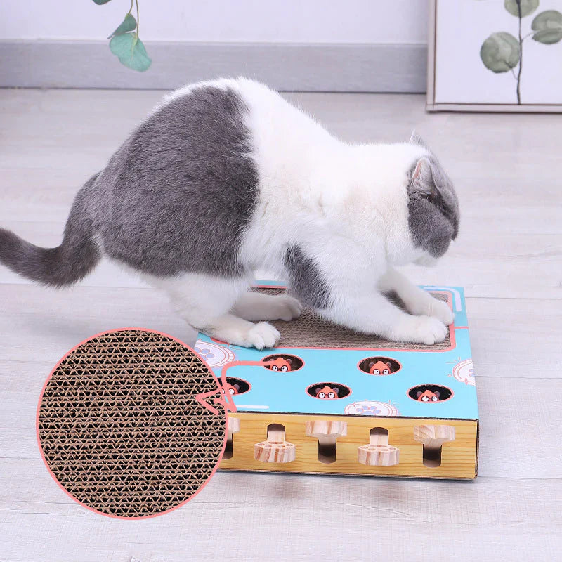 Multifunktionale Spielbox für Katzen