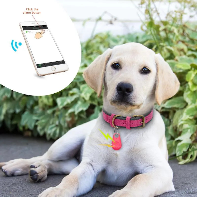 Tragbarer GPS-Tracker für Haustiere
