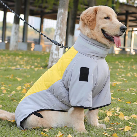 Wasserfester Hundemantel für kalte Tage