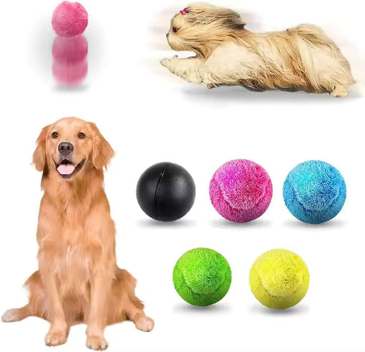 Automatisches Selbstbewegendes Hundespielzeug
