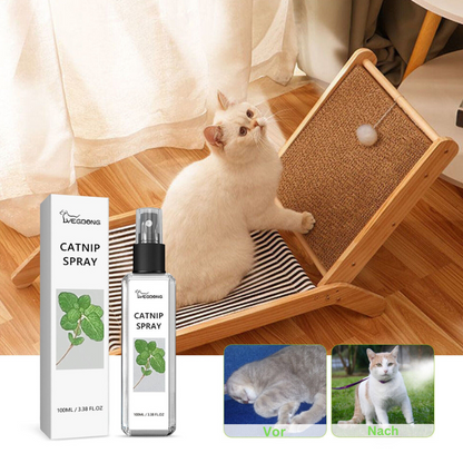 Silberwein Catnip Duftspray