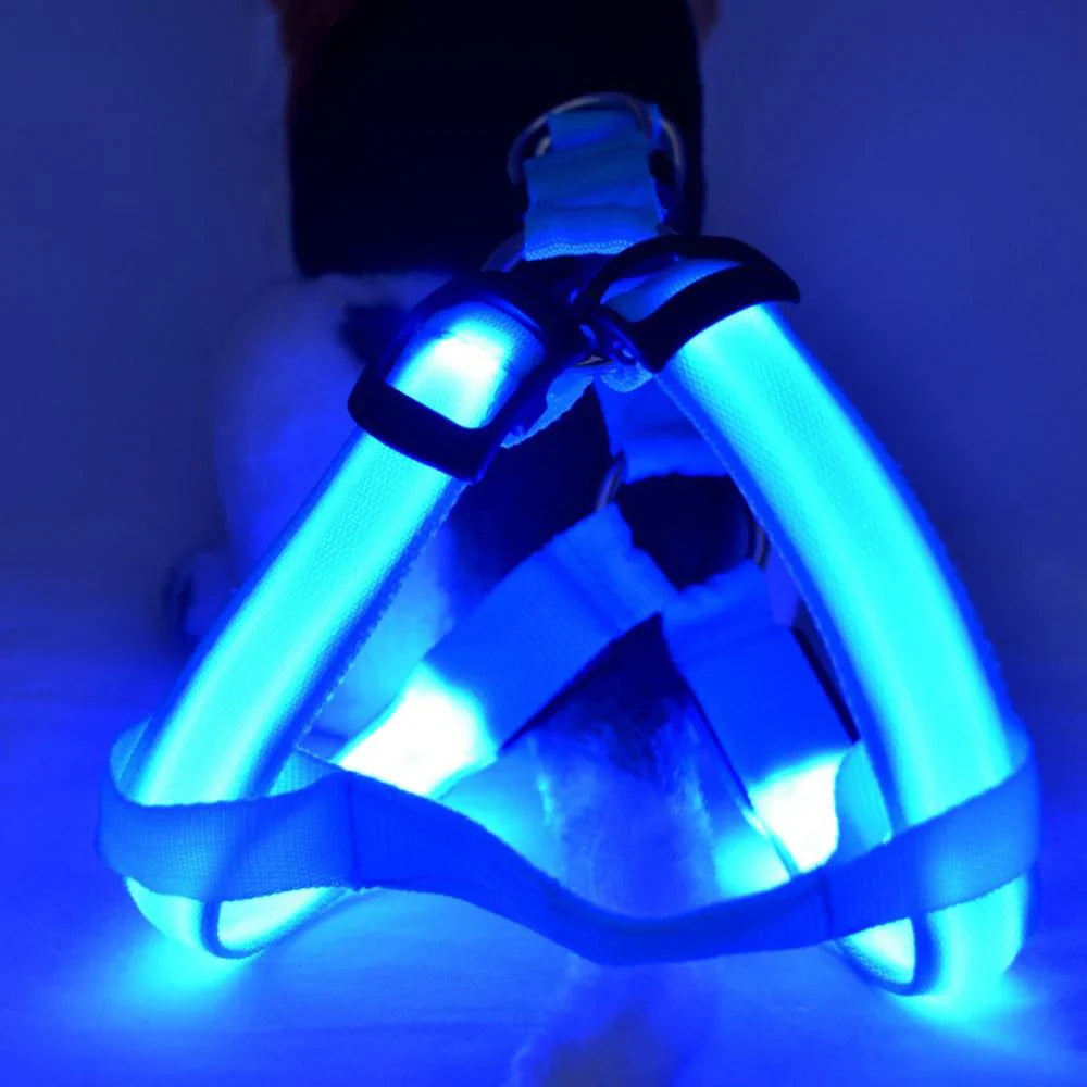 LED-Geschirr für Hunde mit Reflektoren