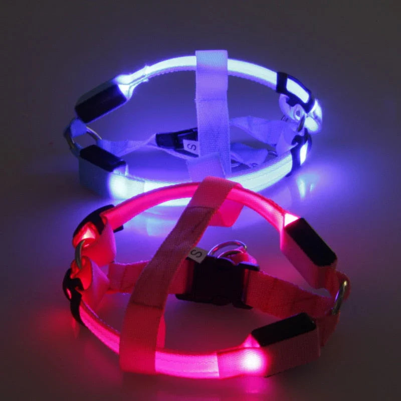 LED-Geschirr für Hunde mit Reflektoren