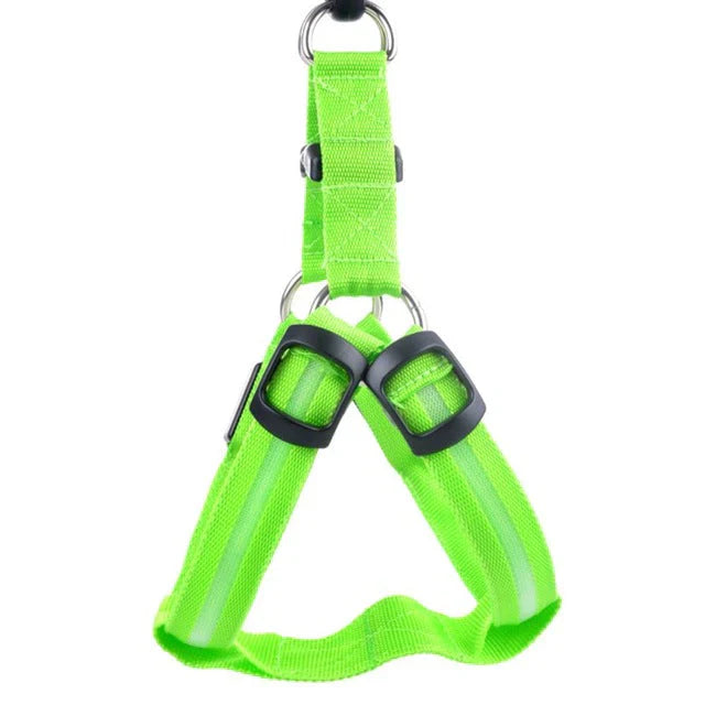 LED-Geschirr für Hunde mit Reflektoren