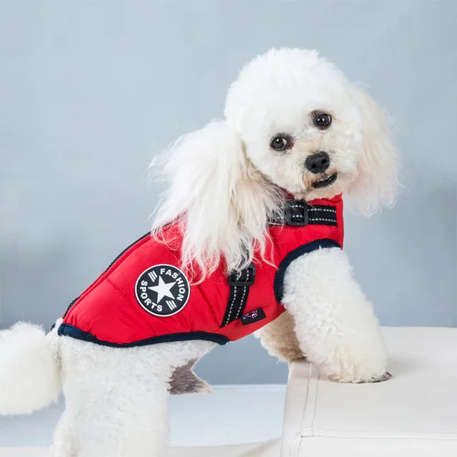 Wetterfeste Hundejacke Mit Integriertem Geschirr