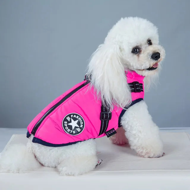 Wetterfeste Hundejacke Mit Integriertem Geschirr