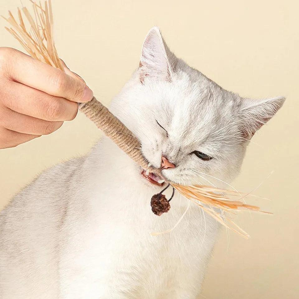 Zahnreinigungsstäbchen für Katzen