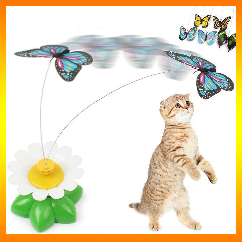 Katzen Schmetterlings Spielzeug