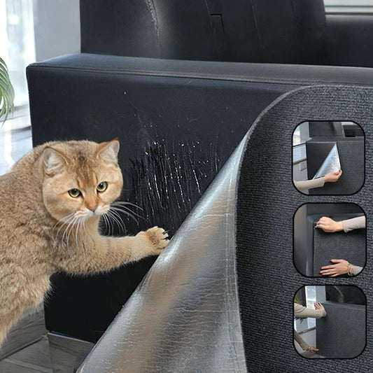 Katzen Kratzschutz Universal
