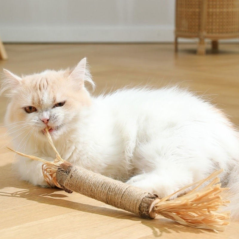 Zahnreinigungsstäbchen für Katzen