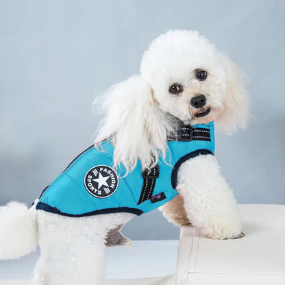 Wetterfeste Hundejacke Mit Integriertem Geschirr