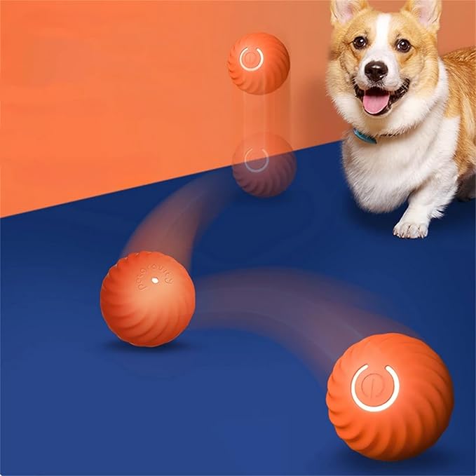 Automatischer Spielball Für Hunde