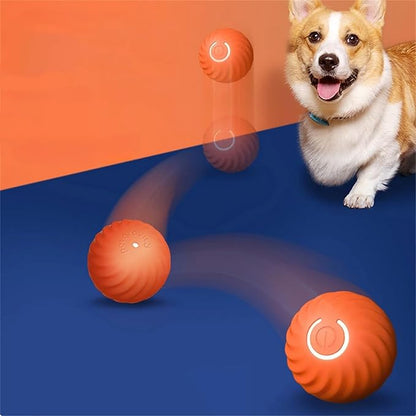 Automatischer Spielball Für Hunde