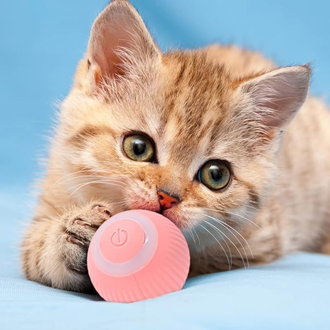 Beweglicher Spielball für Katzen