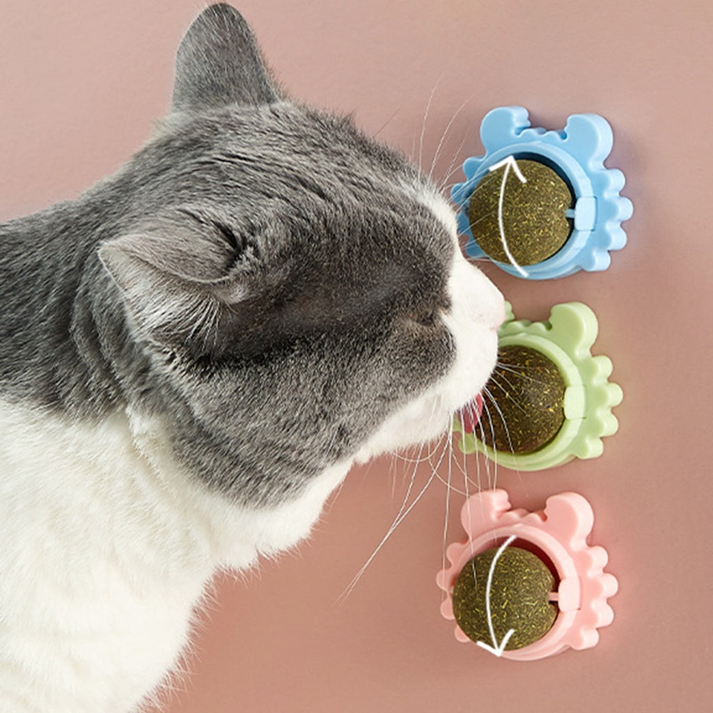 Katzenminze Leckball für Katzen