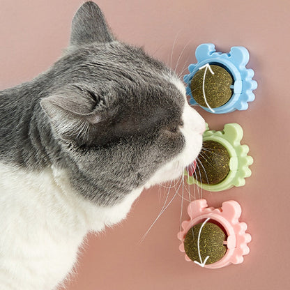 Katzenminze Leckball für Katzen
