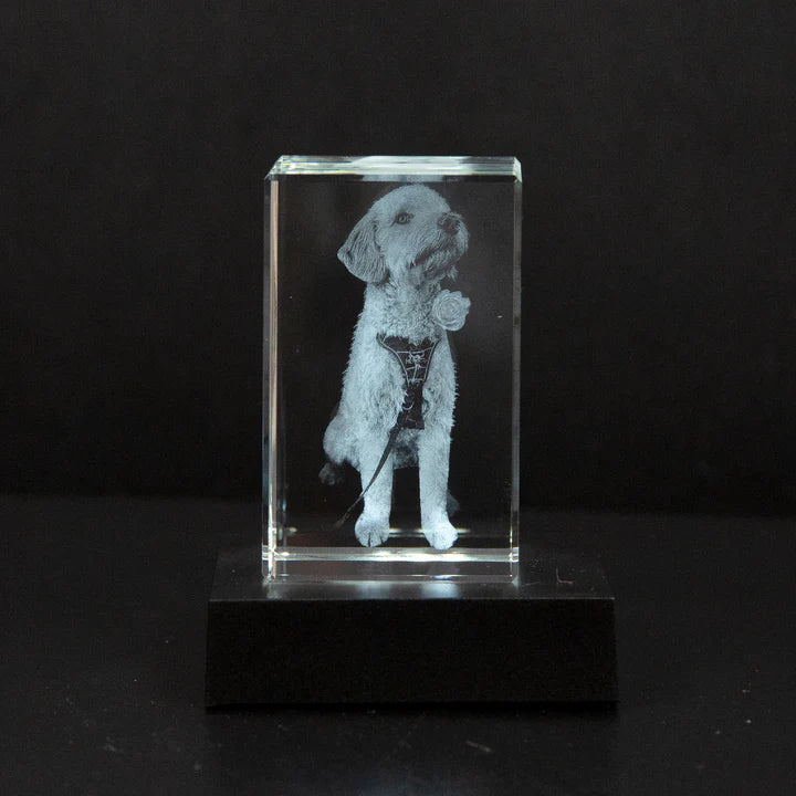 Foto Kristall Lampe Mit Personalisierter 2d/3d Lasergravur