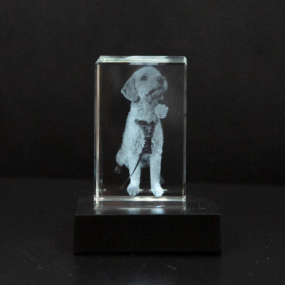 Foto Kristall Lampe Mit Personalisierter 2d/3d Lasergravur