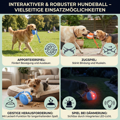 Interaktiver & Robuster Hundeball – Bewegungsspielzeug mit Zugseil in Hundefarben