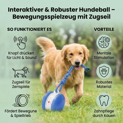 Interaktiver & Robuster Hundeball – Bewegungsspielzeug mit Zugseil in Hundefarben