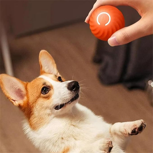 Automatischer Spielball Für Hunde